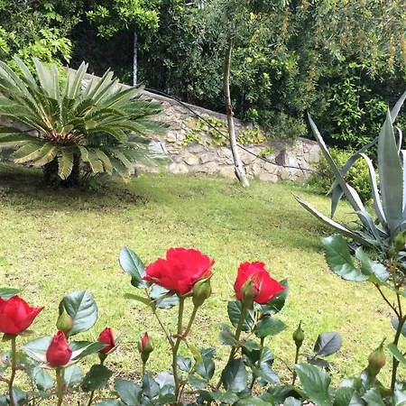 Tra Mare E Bosco Nella Splendida *